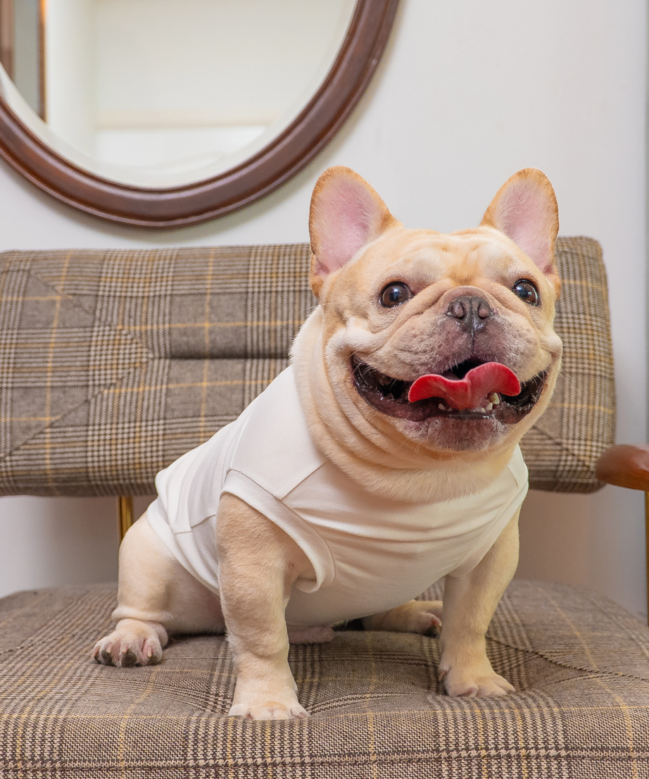 Sleeveless Classic Jumper