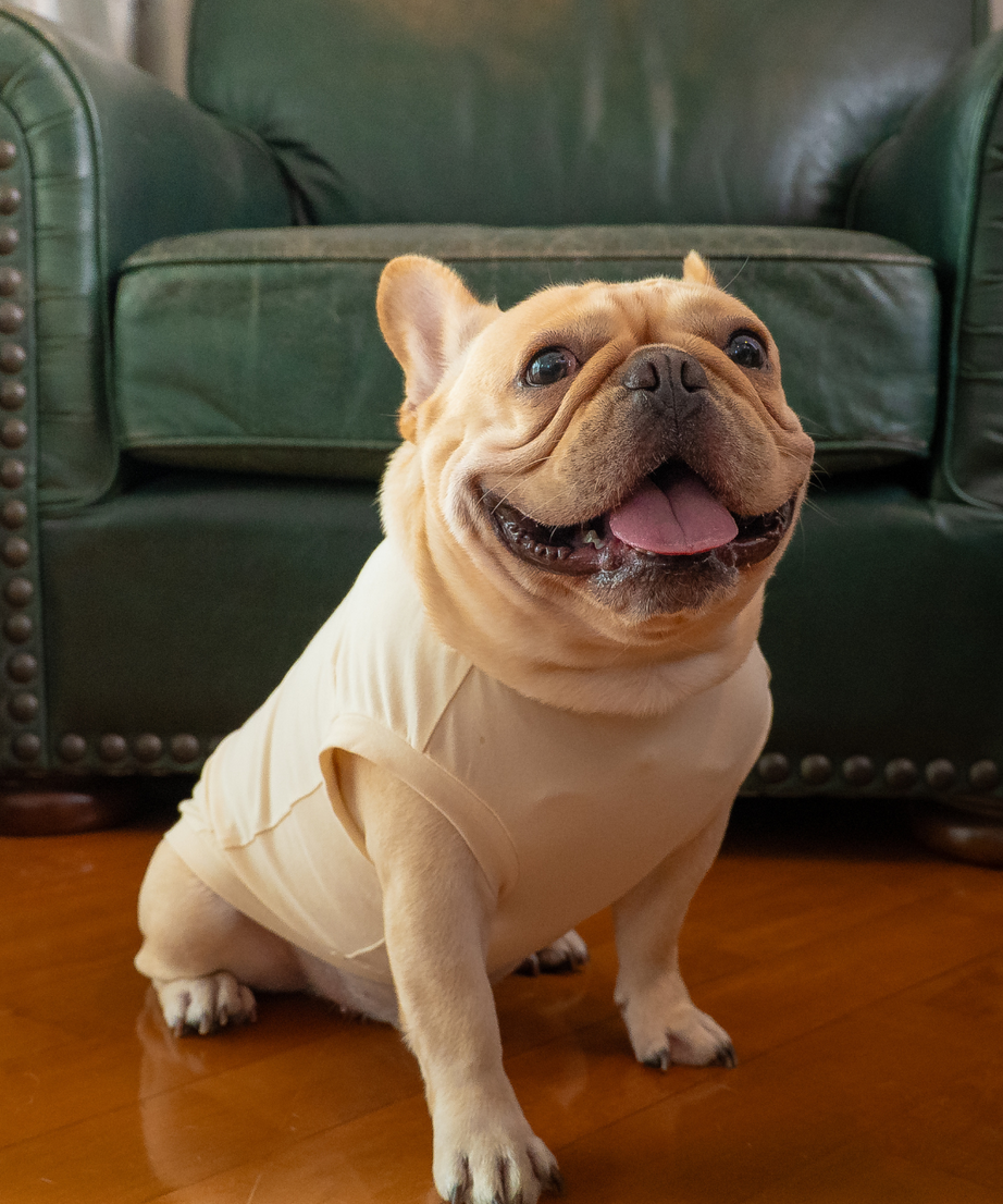 Sleeveless Classic Jumper