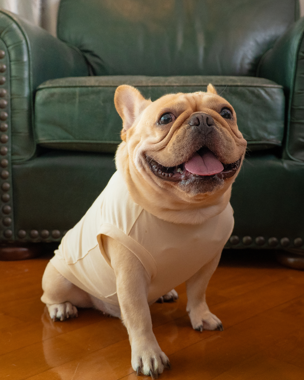 Sleeveless Classic Jumper