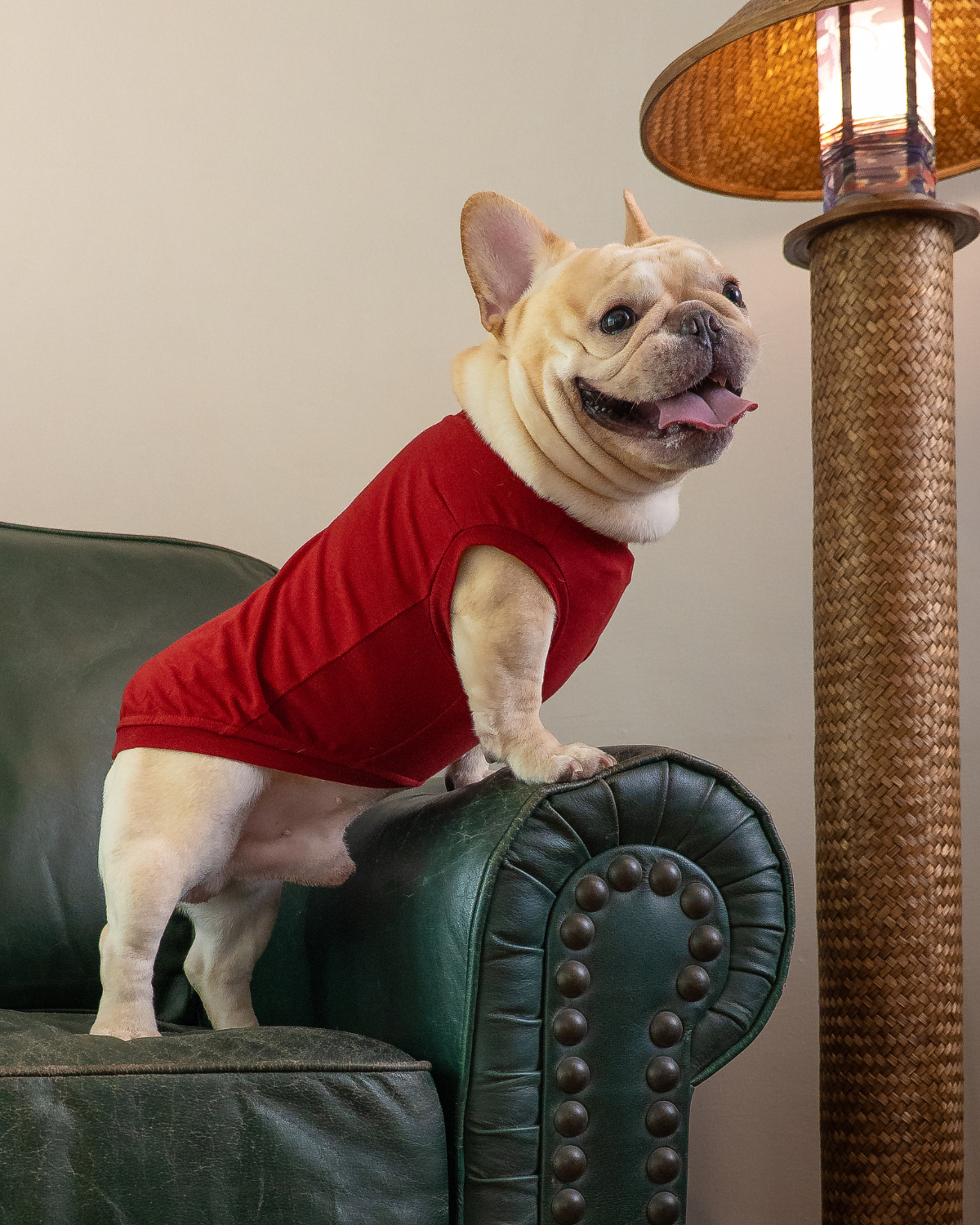 Sleeveless Classic Jumper