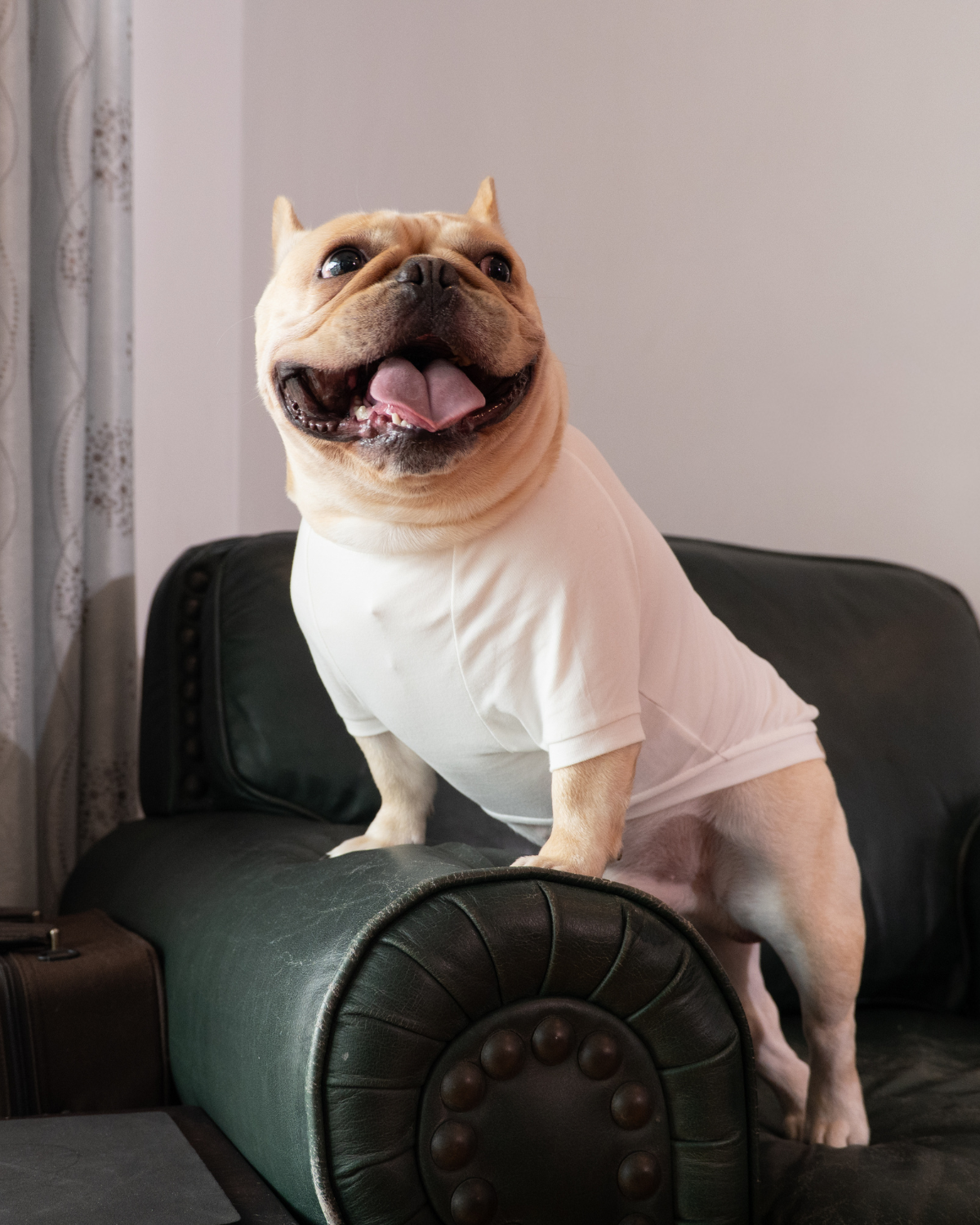 Classic Jumper with Sleeves