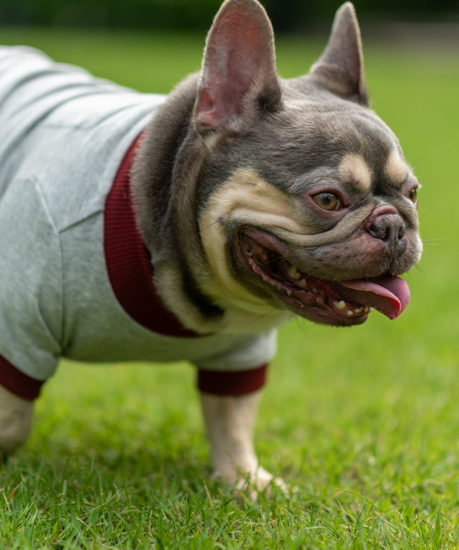 Dark Cozy Doggy Companion Hoodie