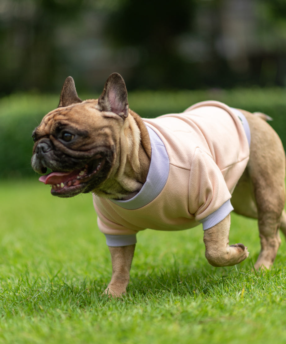 Playful Comfort Jumper