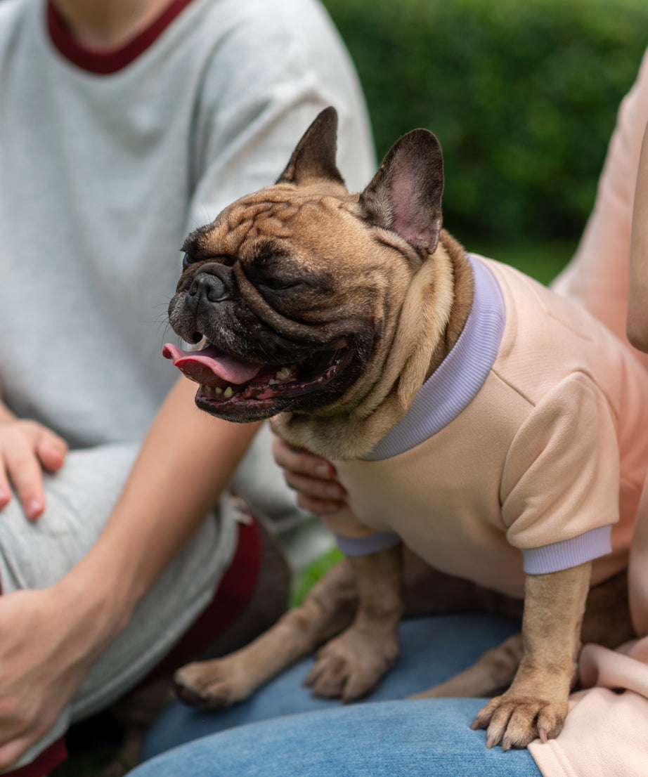 Playful Comfort Jumper