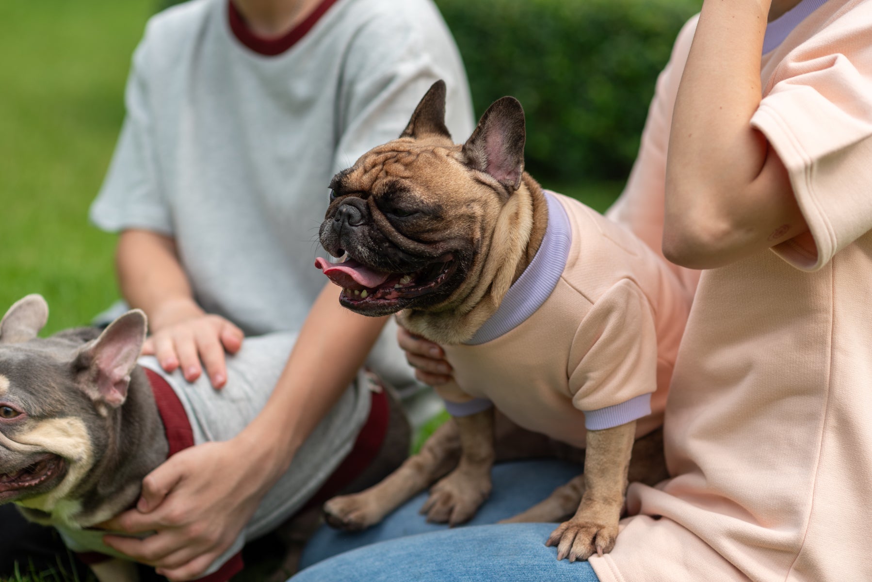 Playful Comfort Jumper