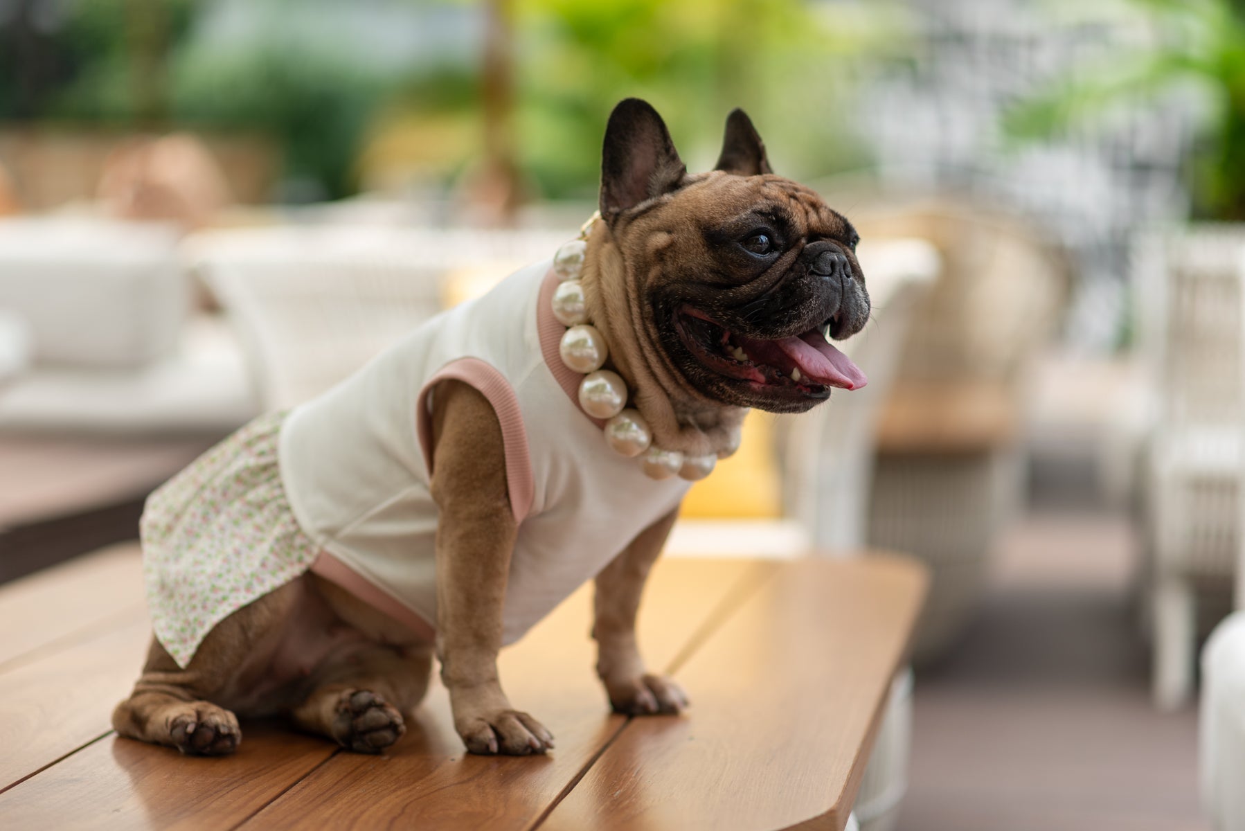 Floral Harmony Dress