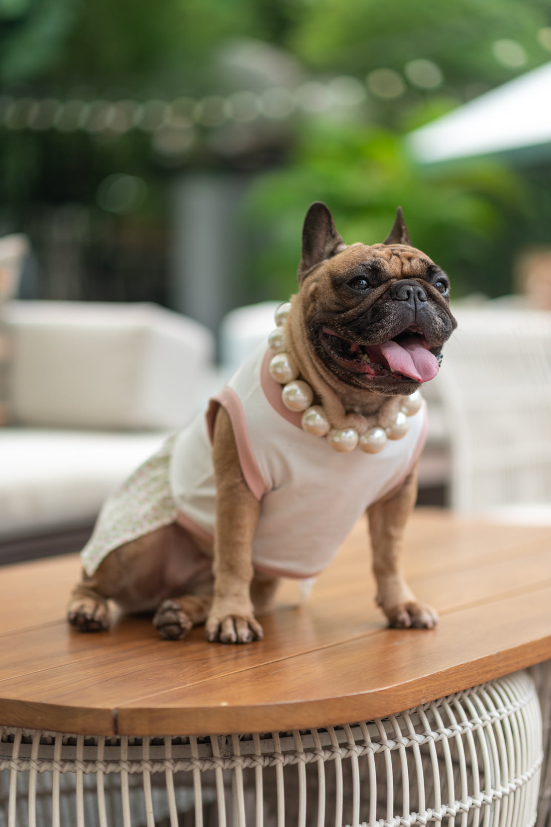 Floral Harmony Dress