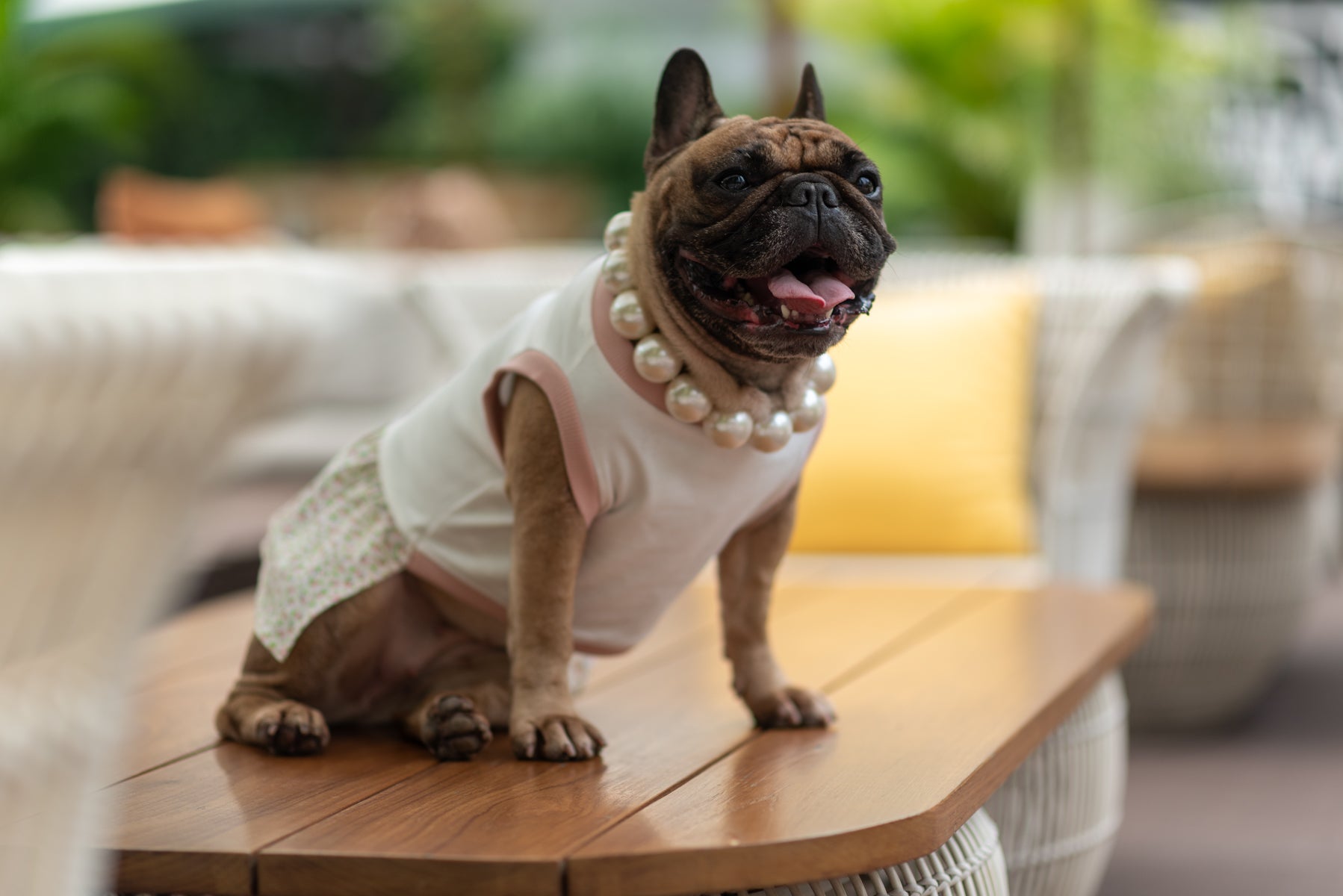 Floral Harmony Dress