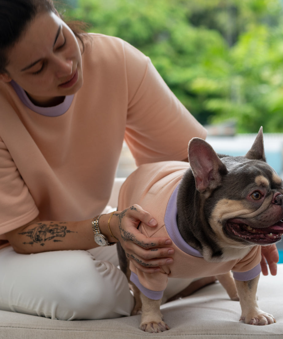 Cozy Companion Jumper