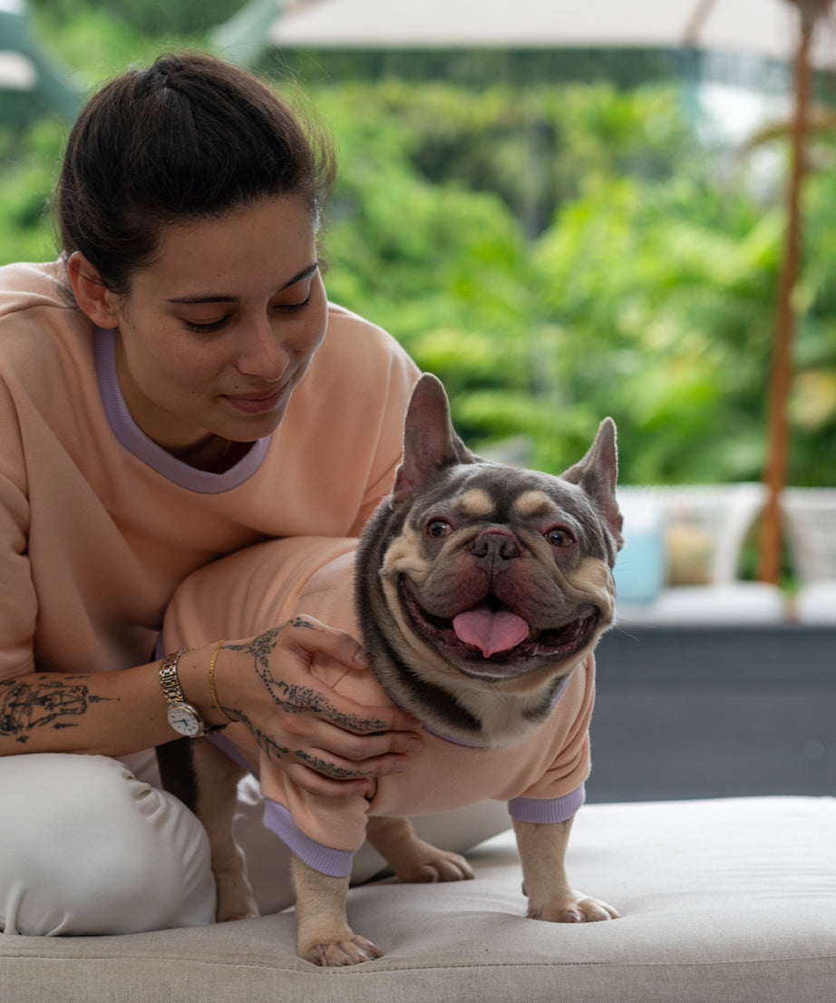 Playful Comfort Jumper