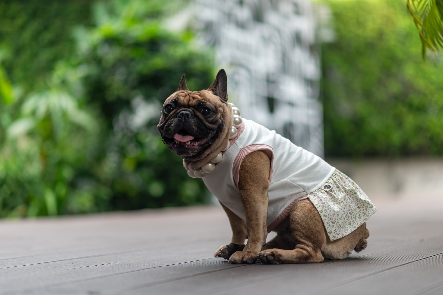 Floral Harmony Dress