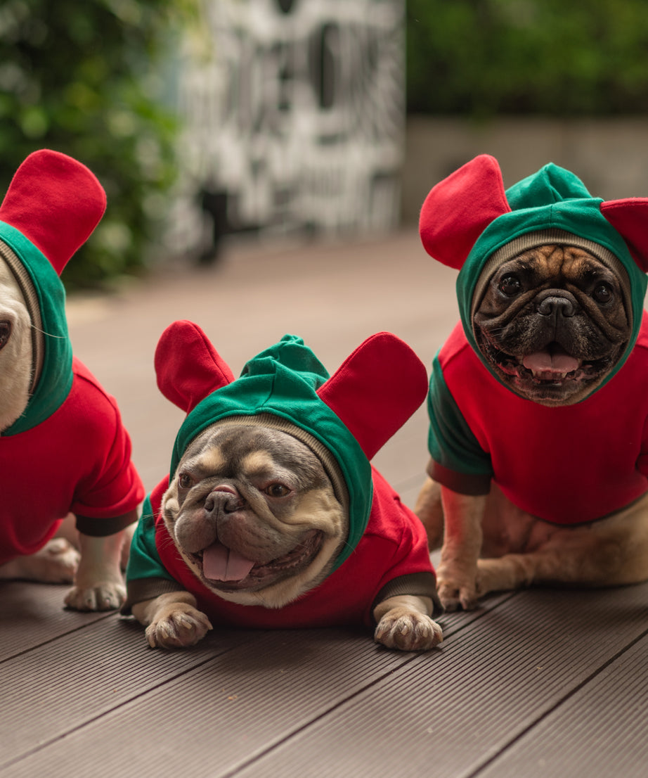 Love Me de Luxe Dog Hoodie