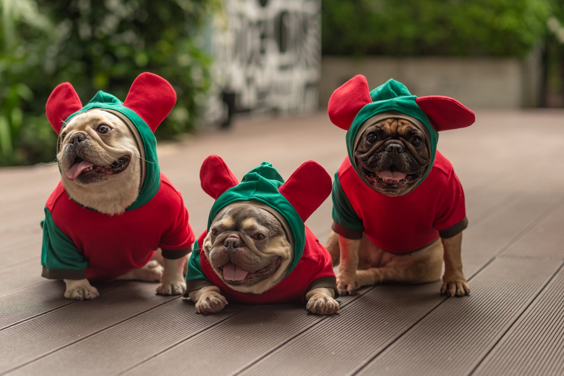 Love Me de Luxe Dog Hoodie