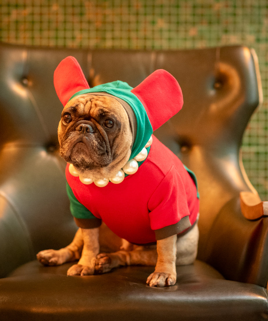 Love Me de Luxe Dog Hoodie