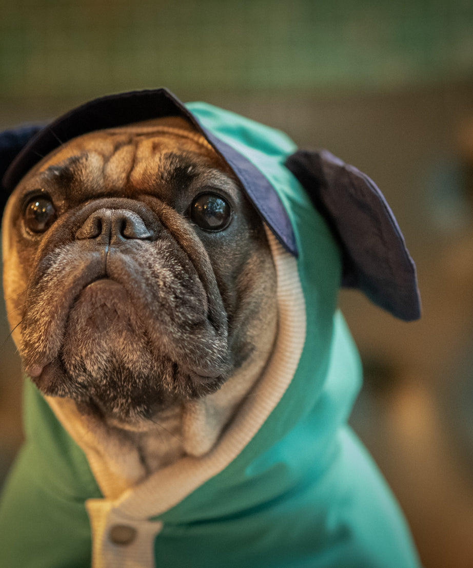 EcoGuard Dark Raincoat