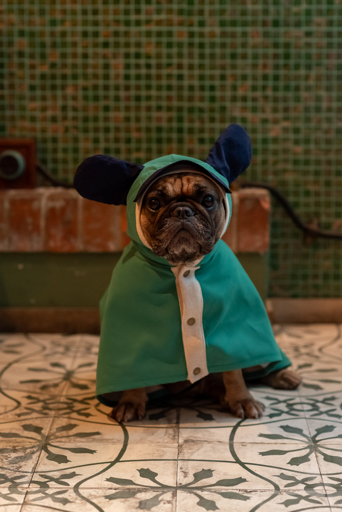 EcoGuard Dark Raincoat