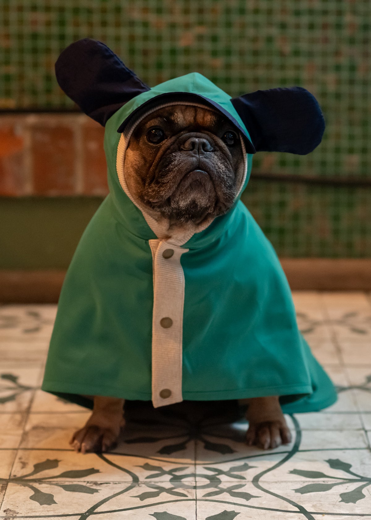 EcoGuard Dark Raincoat