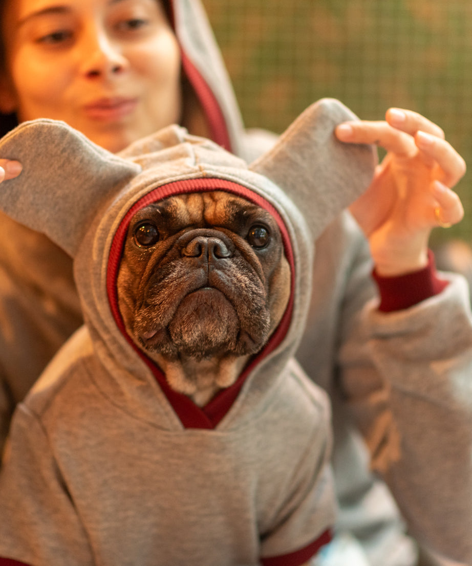 Dark Cozy Companion Hoodie