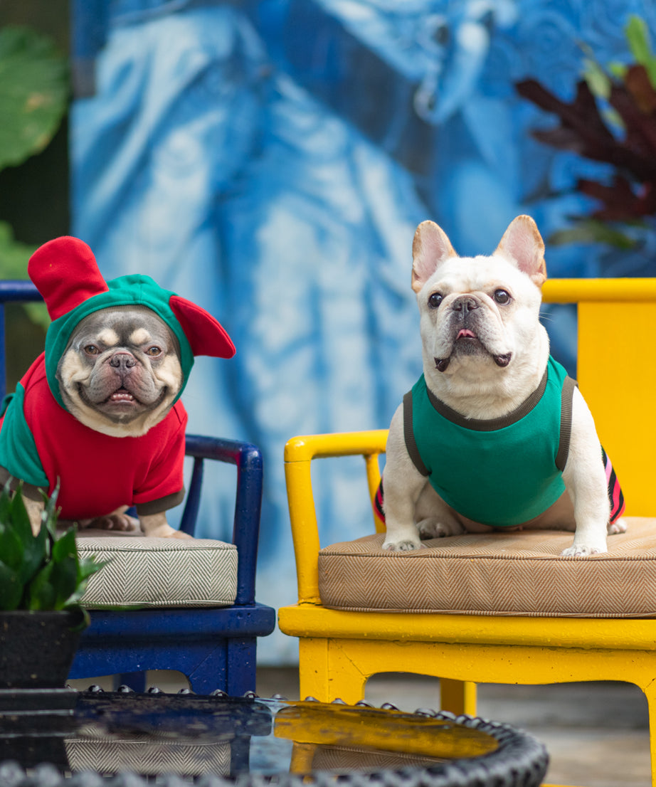 Jolly Comfort Seasonal Dress