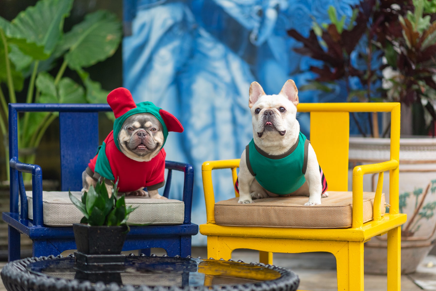 Jolly Comfort Seasonal Dress