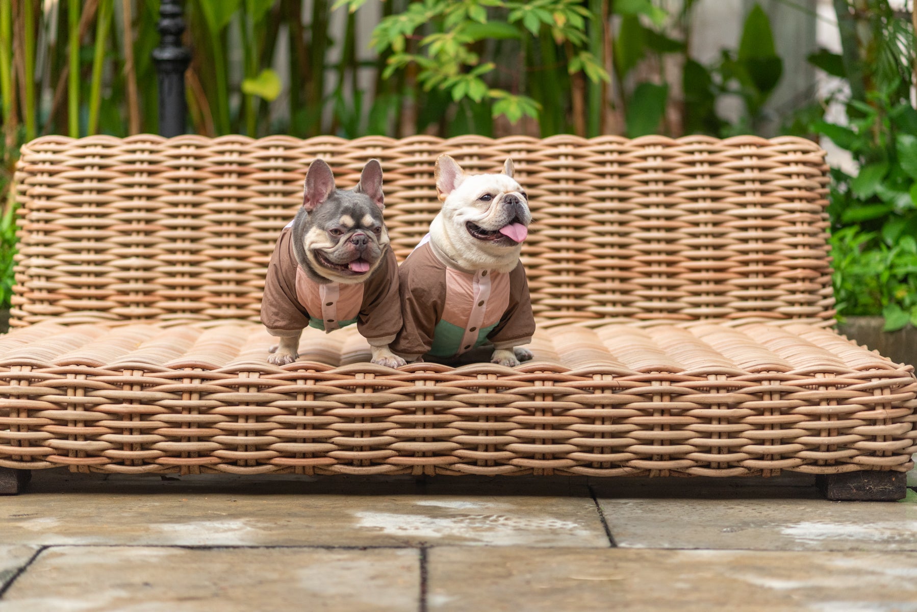 Retro Breeze Wind Jacket