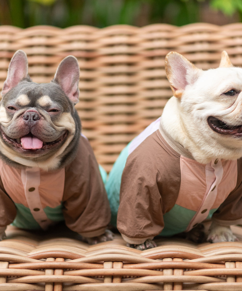 Retro Breeze Wind Jacket