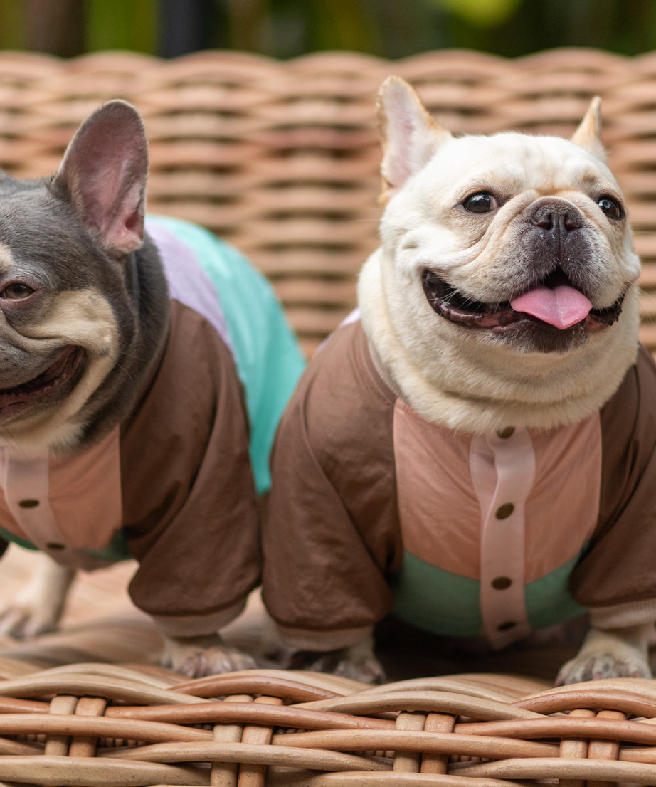 Retro Breeze Wind Jacket