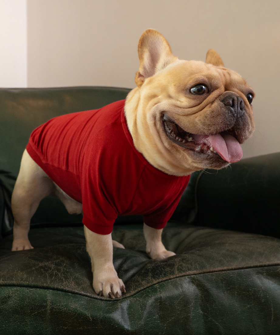 Classic Jumper with Sleeves