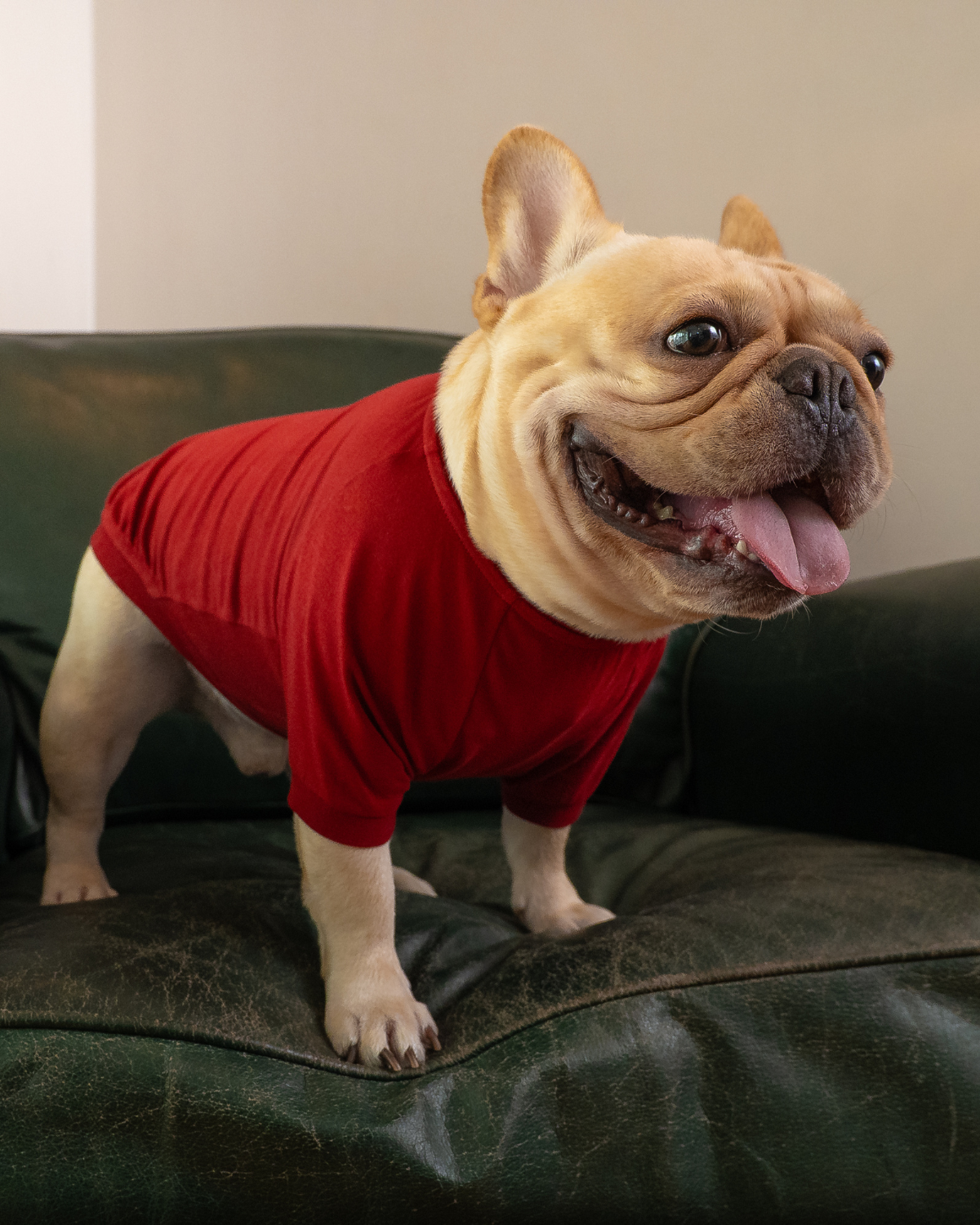 Classic Jumper with Sleeves