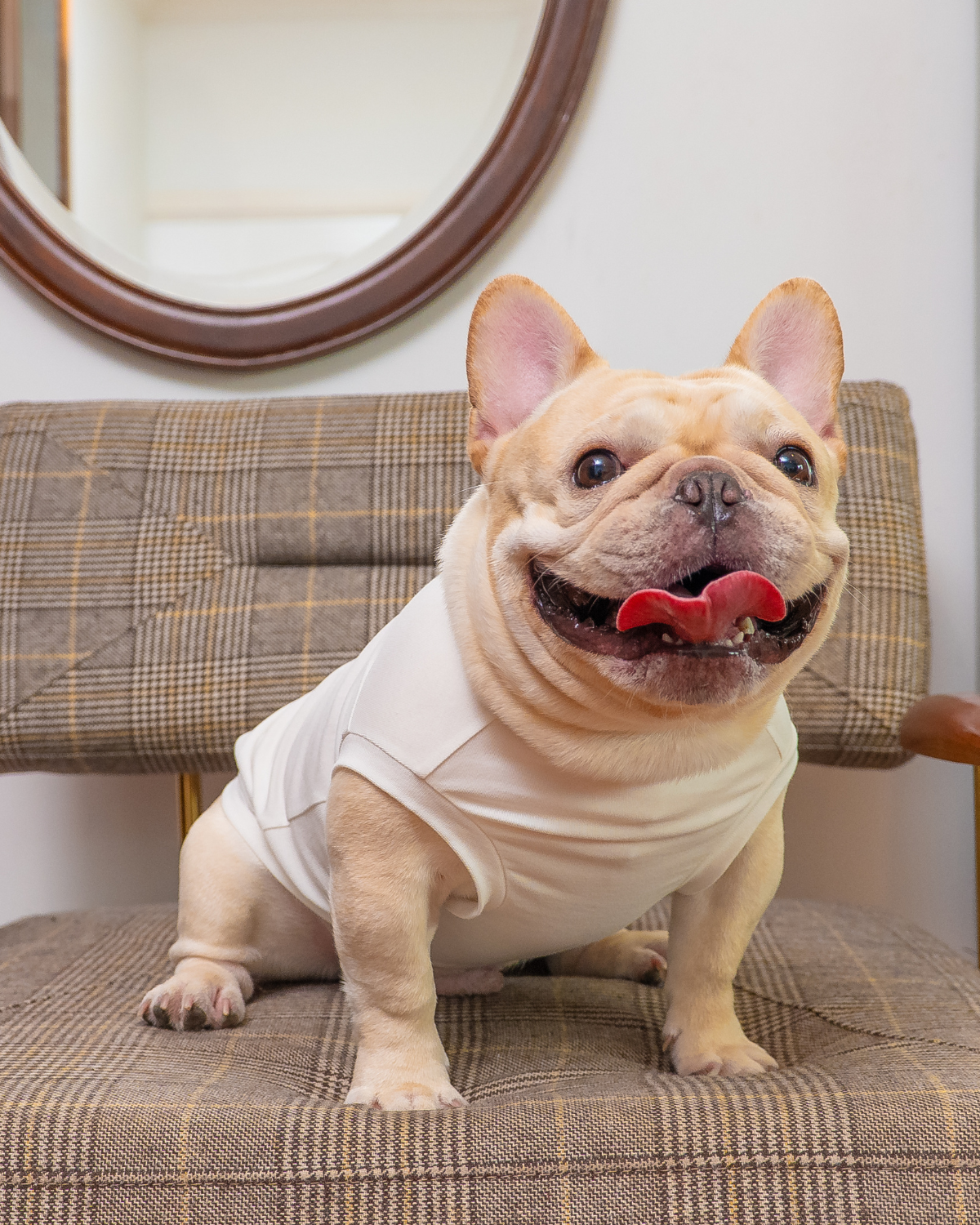 Sleeveless Classic Jumper