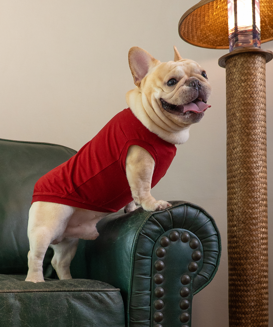 Sleeveless Classic Jumper