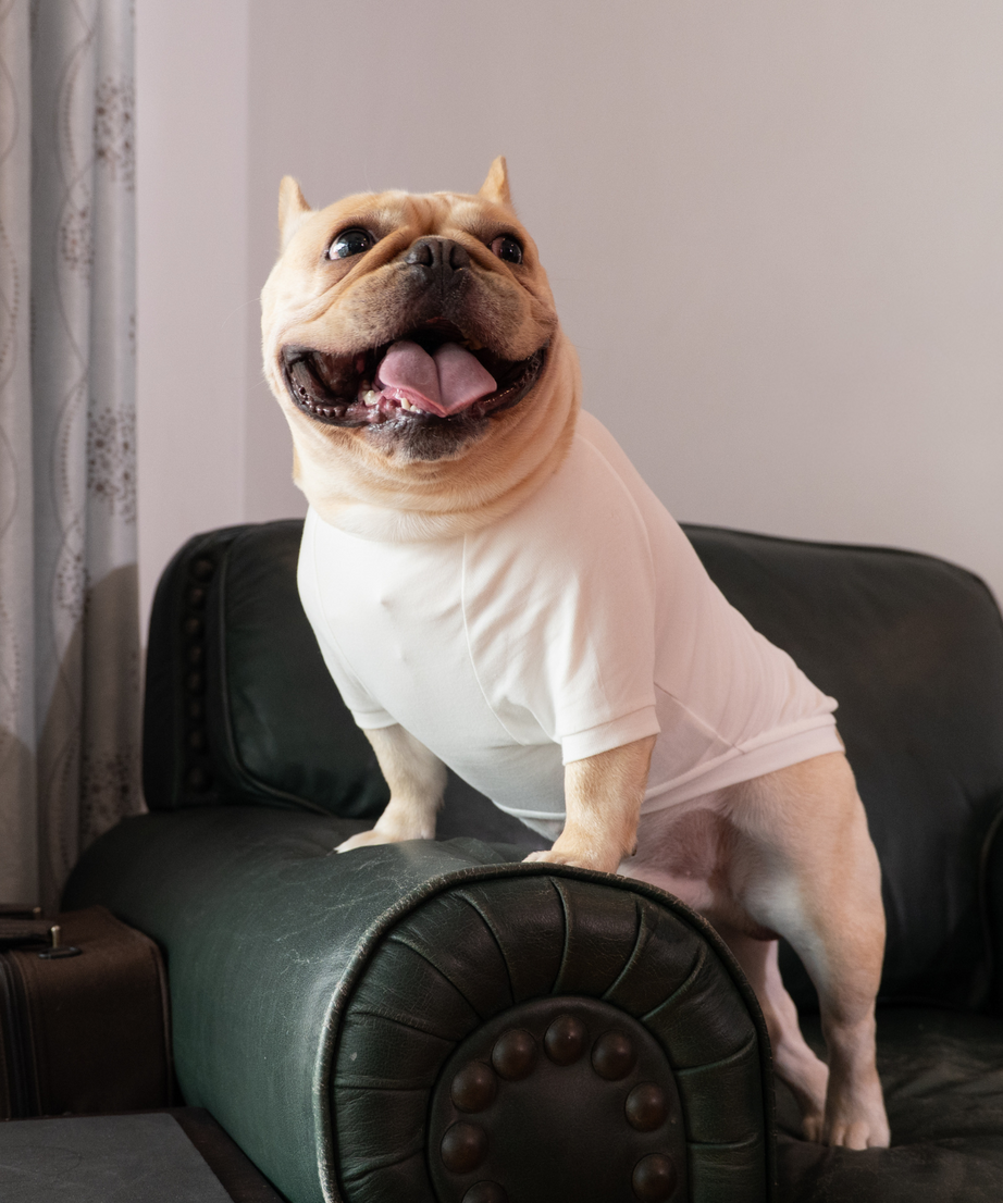 Classic Jumper with Sleeves