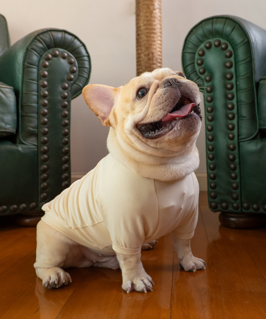 Classic Jumper with Sleeves