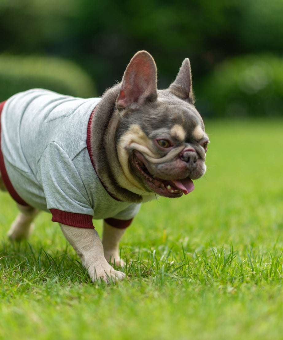 Dark Cozy Doggy Companion Hoodie