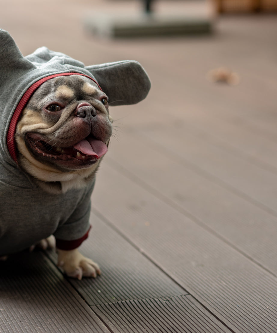 Dark Cozy Doggy Companion Hoodie