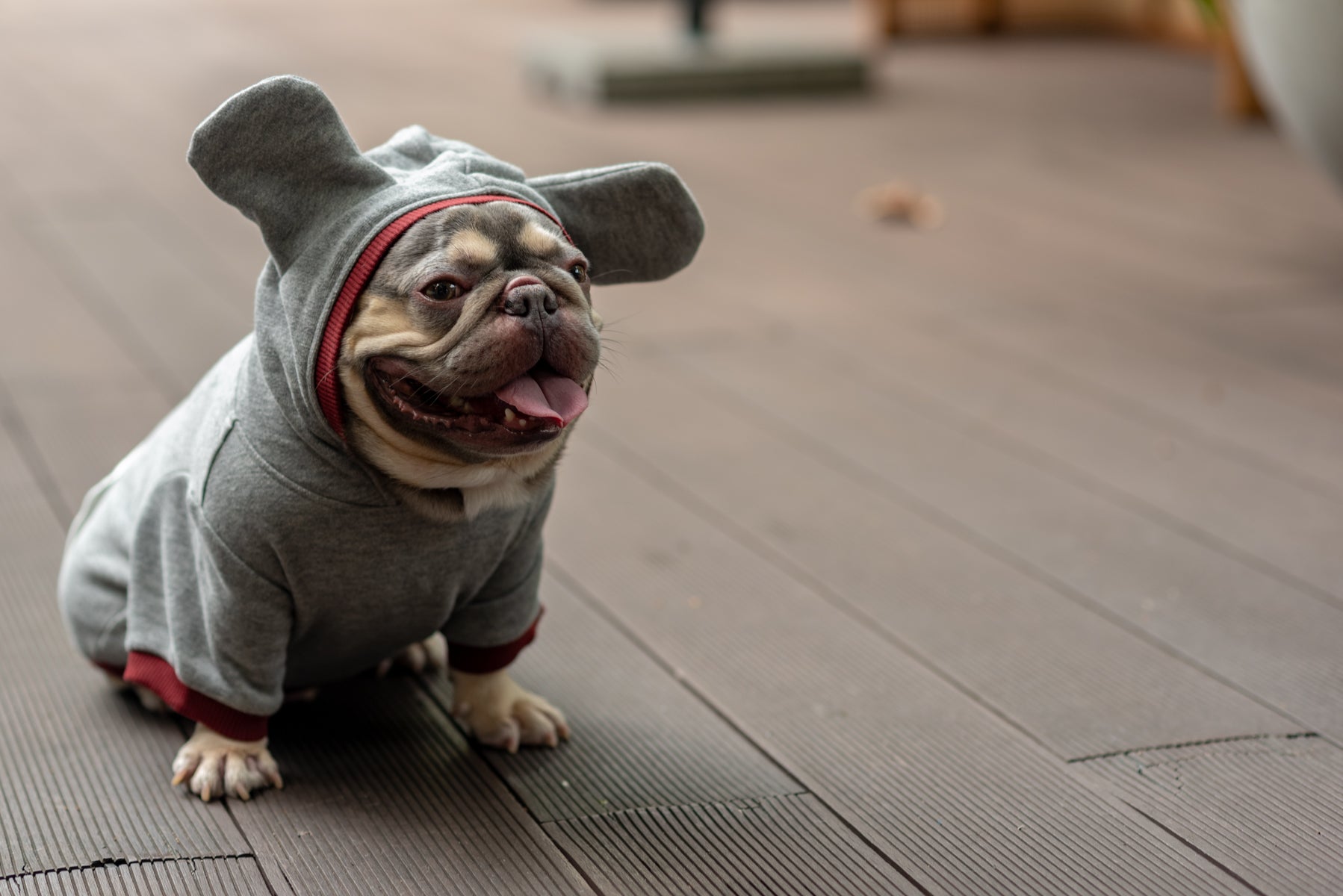 Dark Cozy Doggy Companion Hoodie