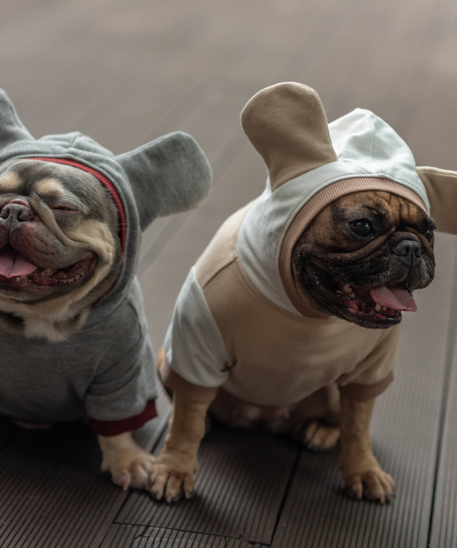 Cozy Mocha Mousse Doggy Hoodie