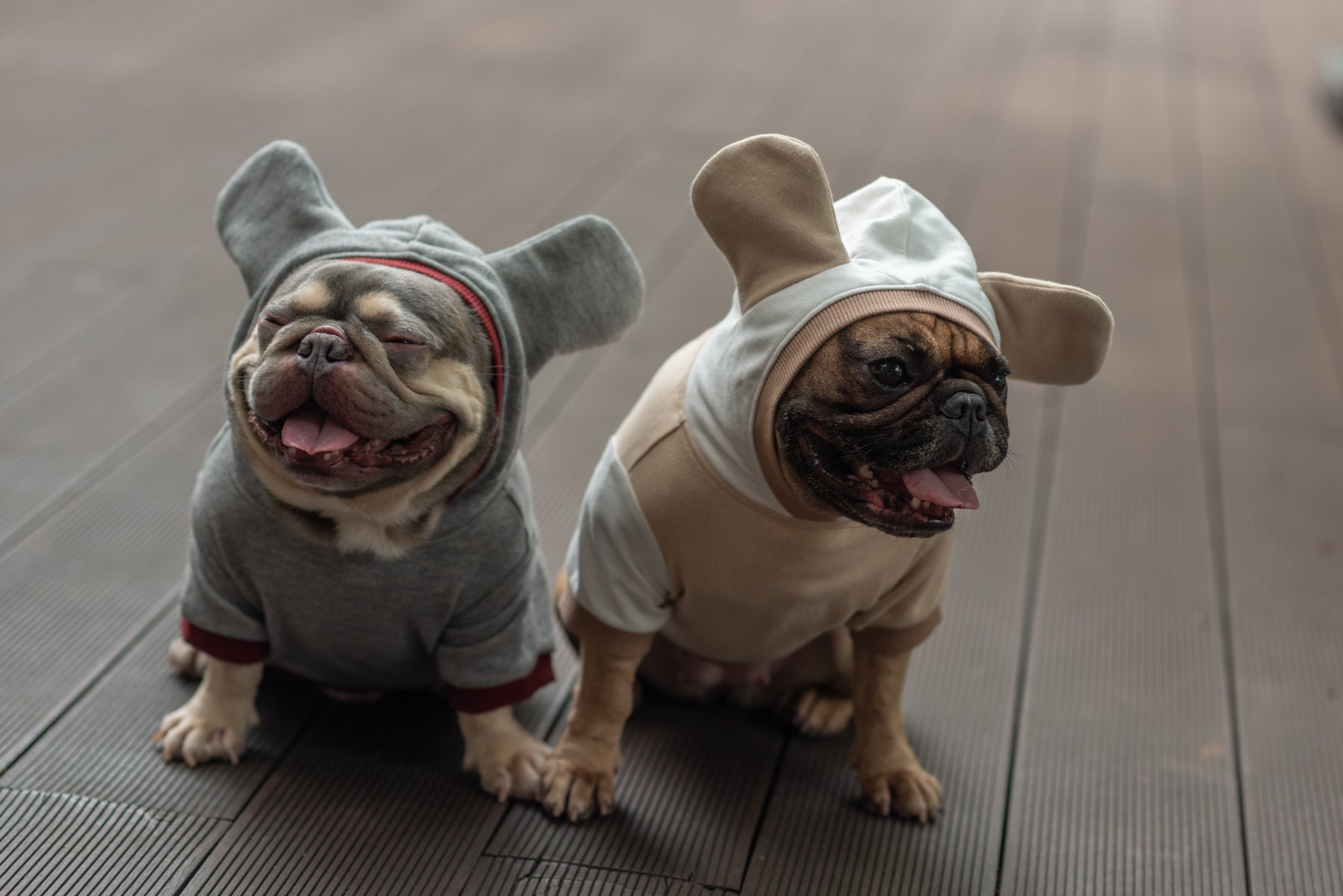 Cozy Mocha Mousse Doggy Hoodie