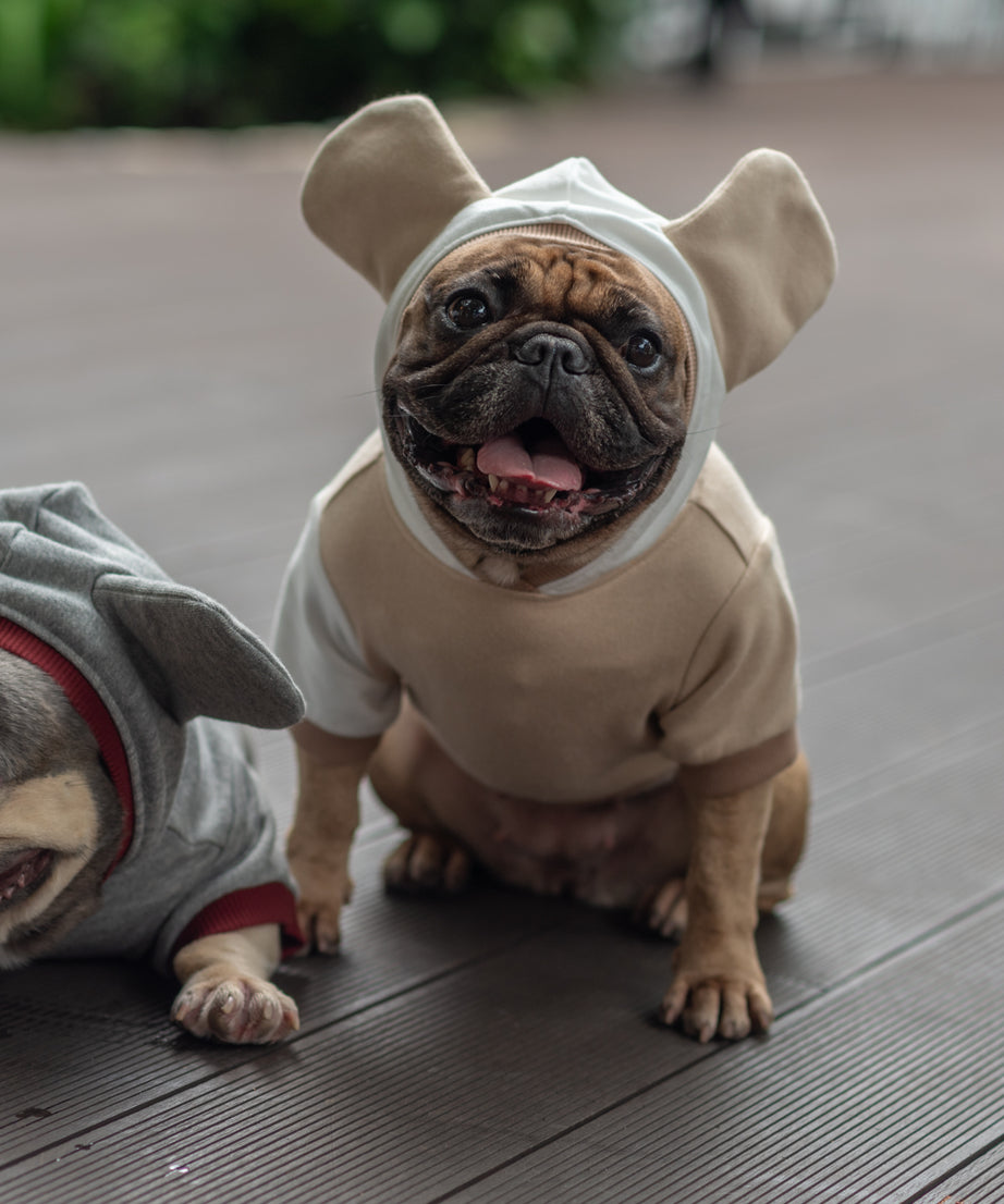 Cozy Mocha Mousse Doggy Hoodie