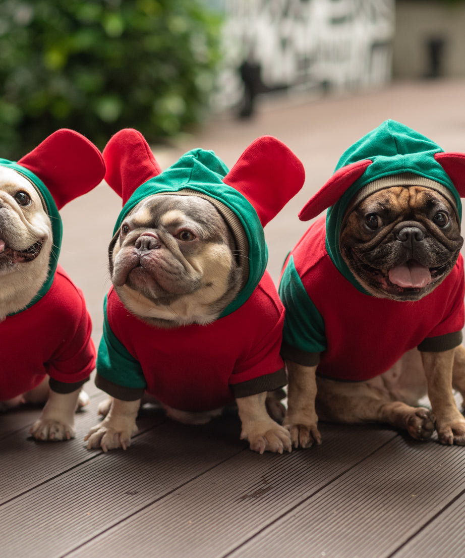 Love Me de Luxe Dog Hoodie