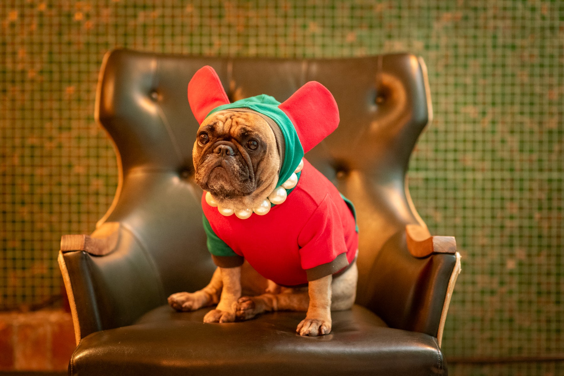 Love Me de Luxe Dog Hoodie