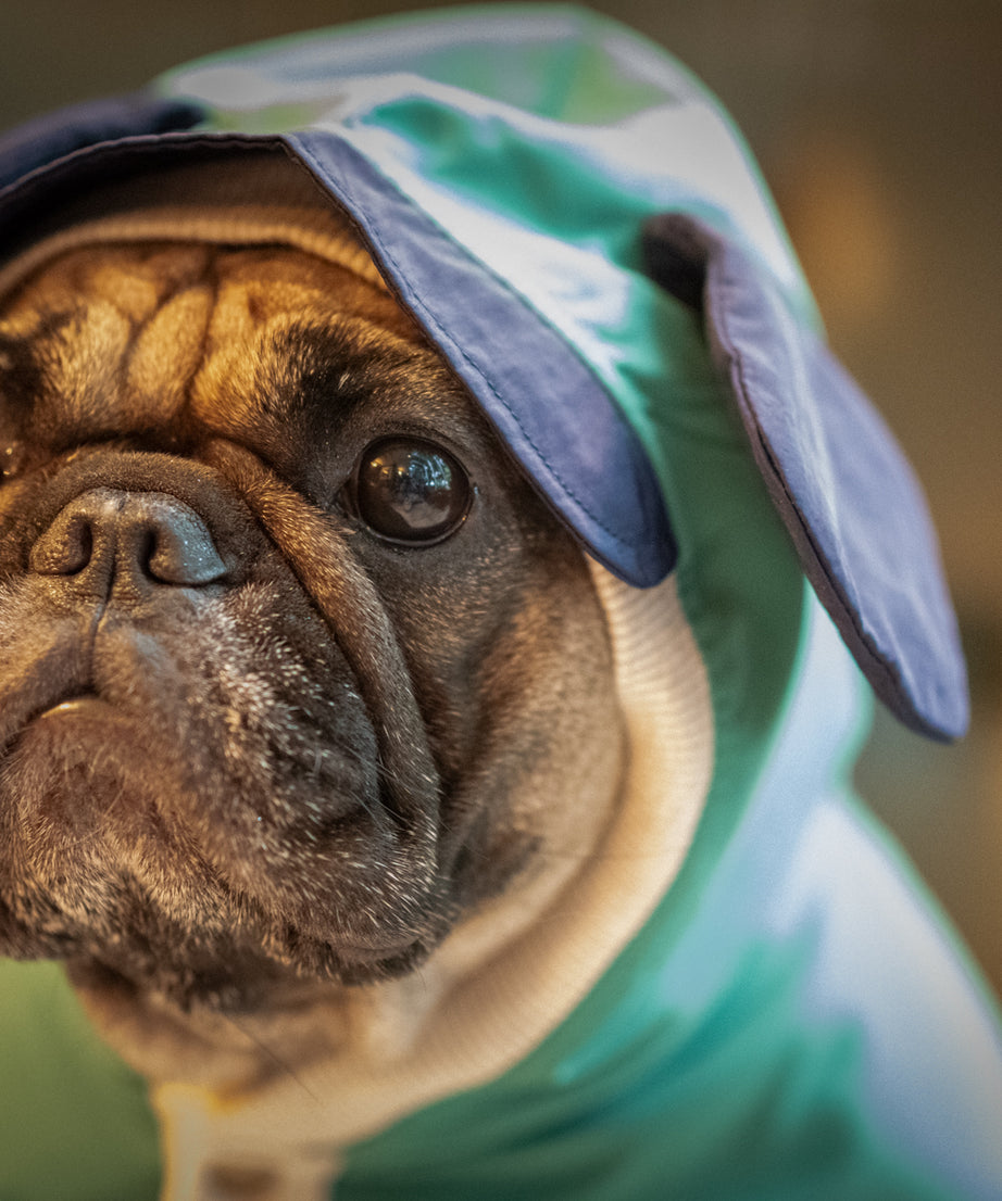 EcoGuard Dark Raincoat