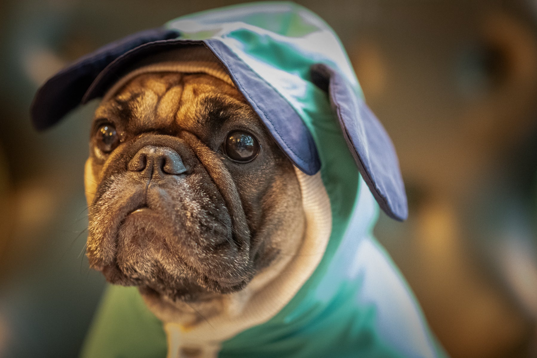 EcoGuard Dark Raincoat