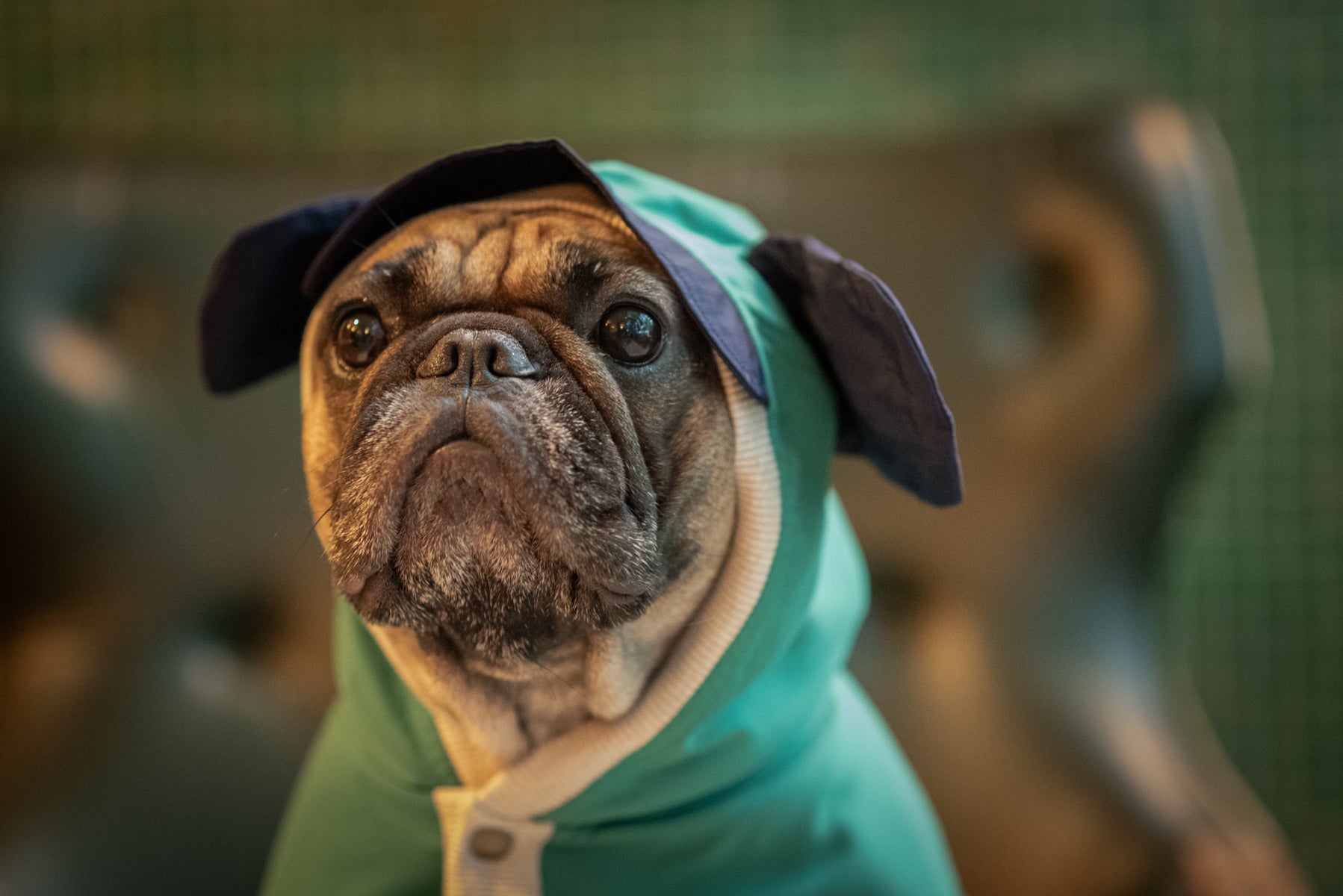 EcoGuard Dark Raincoat