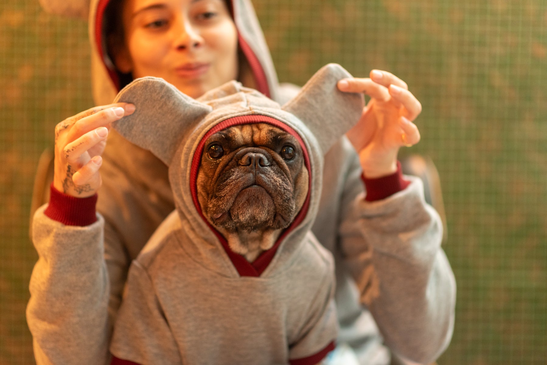 Dark Cozy Companion Hoodie