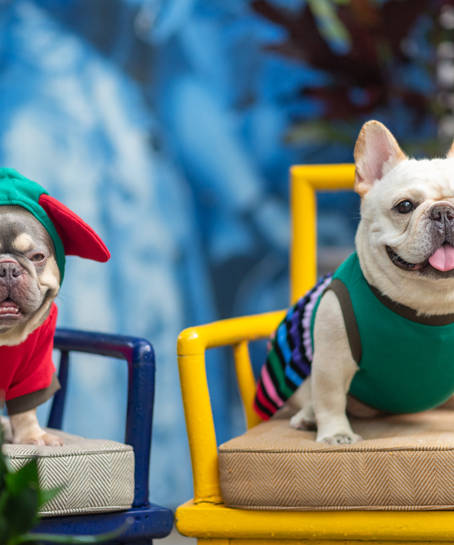 Jolly Comfort Seasonal Dress