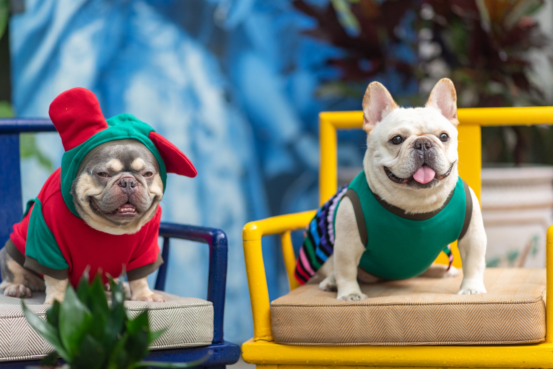 Jolly Comfort Seasonal Dress