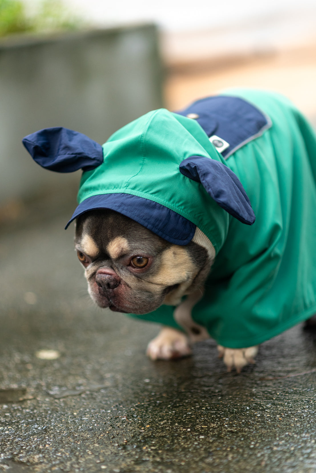 EcoGuard Dark Raincoat