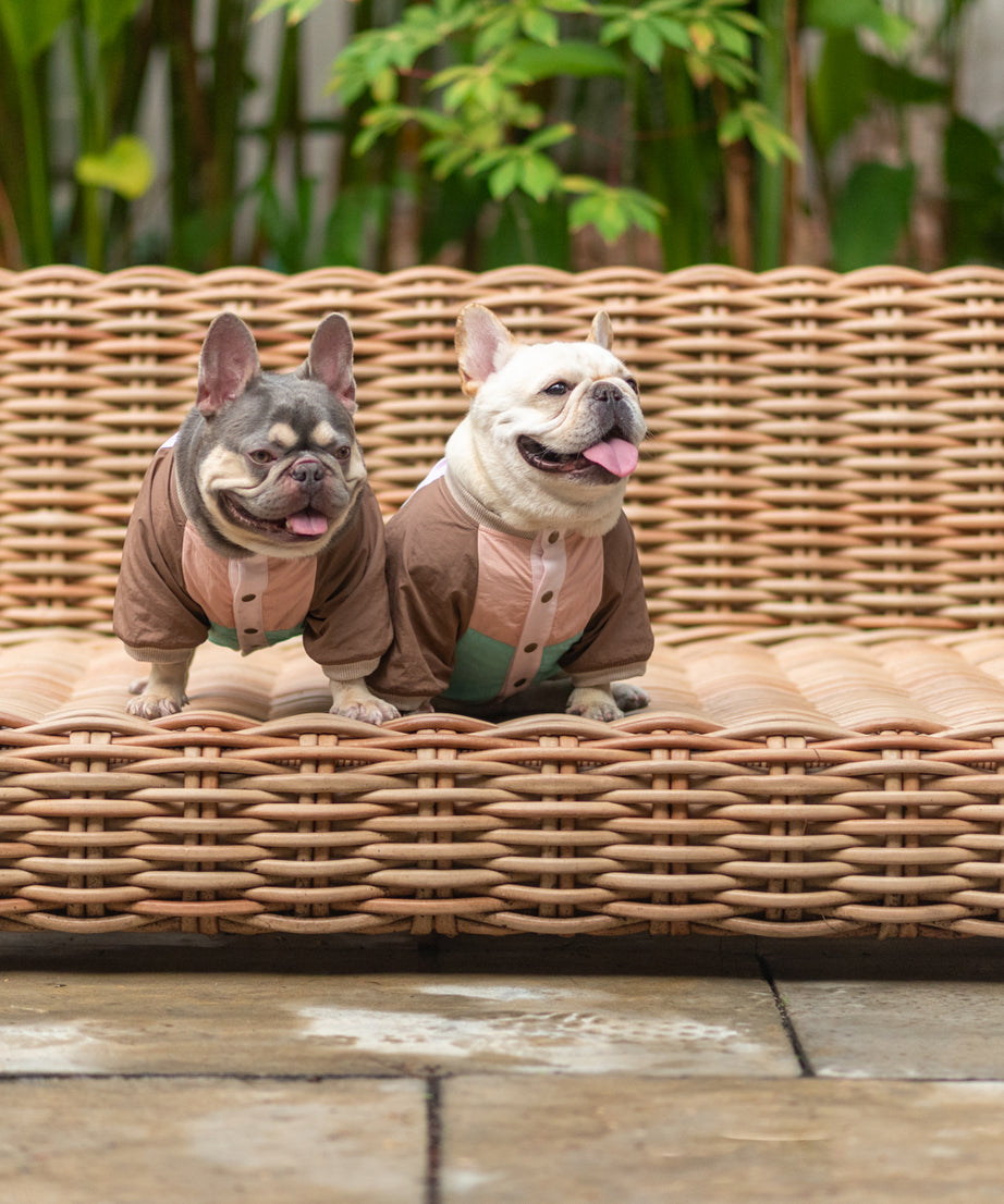 Retro Breeze Wind Jacket