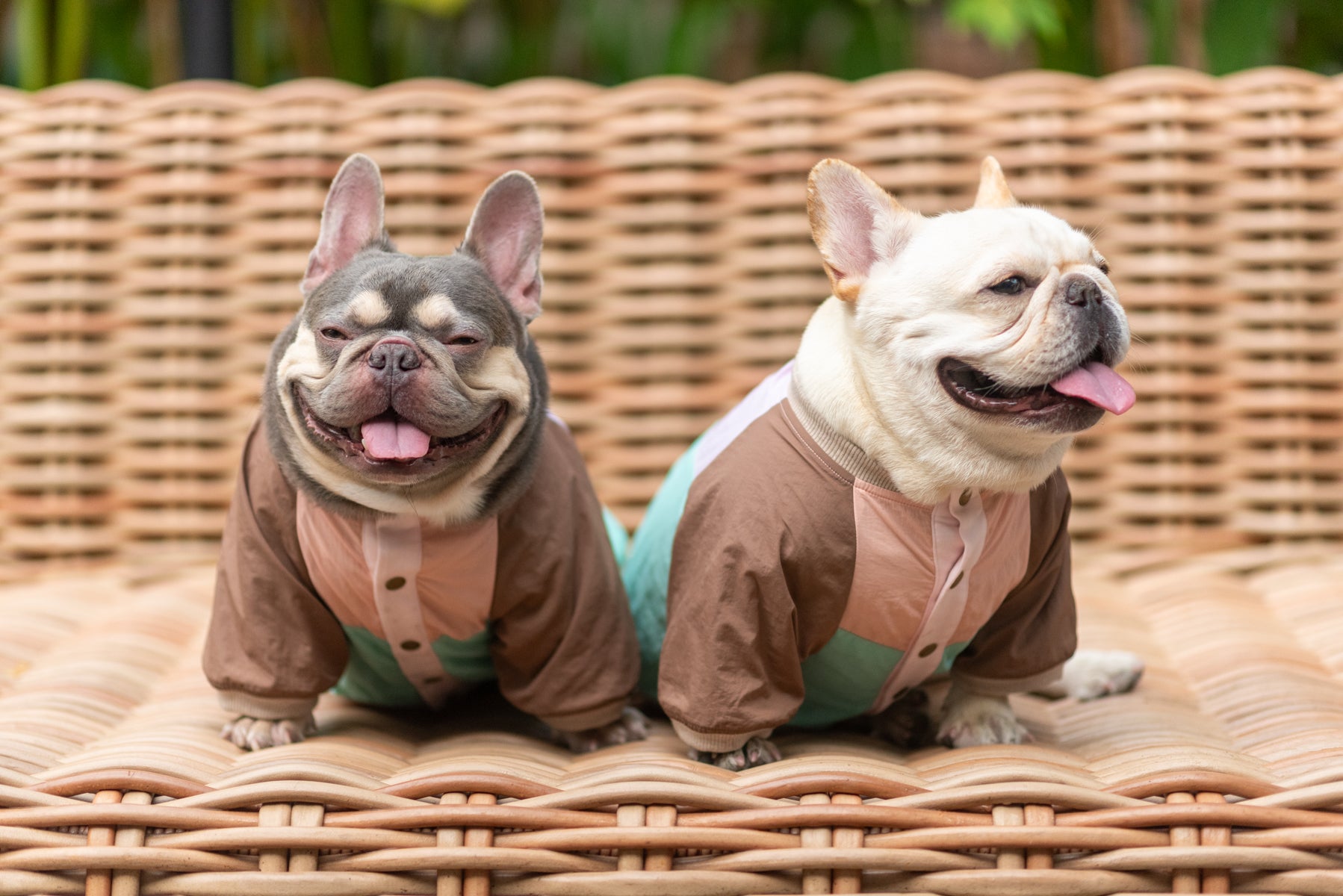 Retro Breeze Wind Jacket